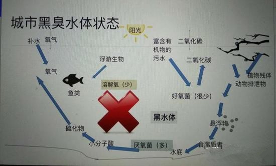 江蘇億元投資治污新技術 石墨烯能否治理黑臭水體？