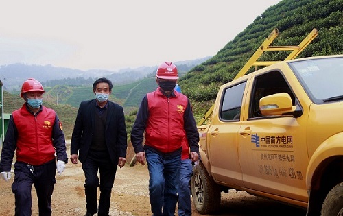 平塘供電局:“加減法”同構(gòu)服務(wù),護航“貴州春茶第一壺”