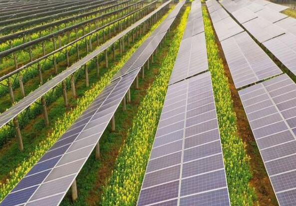 廣東清遠(yuǎn)建設(shè)小型農(nóng)光互補光伏發(fā)電站，工程總投資1.5億元