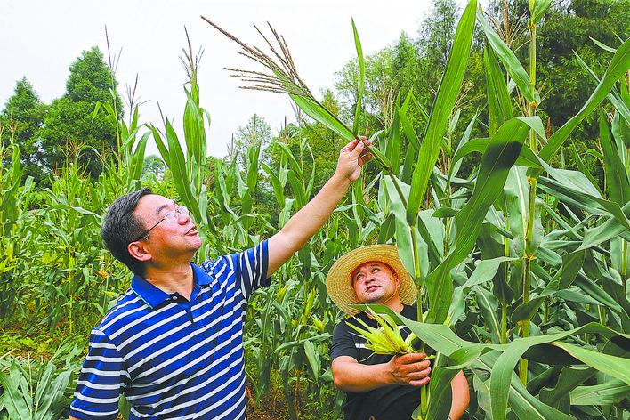 【全國脫貧攻堅(jiān)先進(jìn)個人】黃丹松:一片丹心為扶貧