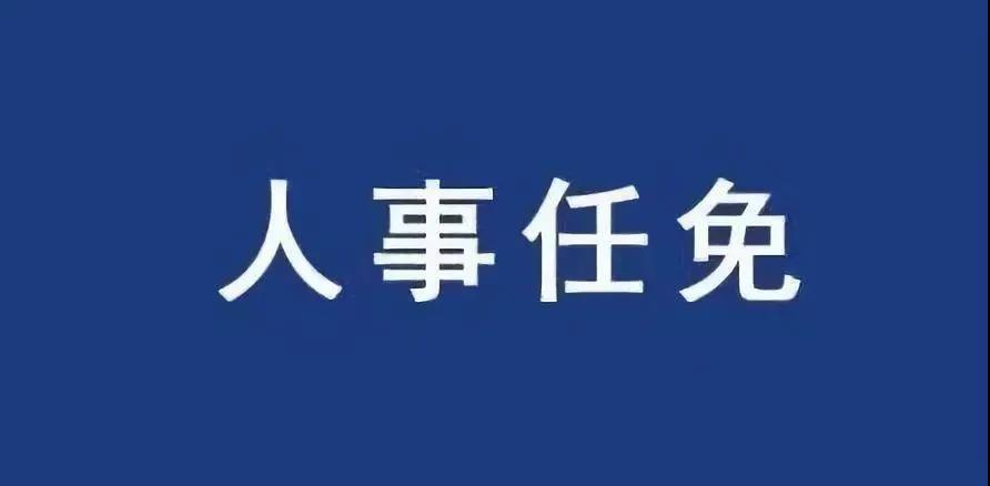 重磅！張智剛任國家電網總經理、黨組副書記，韓君出任三峽集團總經理