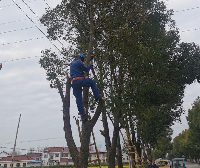 國網(wǎng)城固縣供電公司積極開展春季樹障清理工作，打通線路安全通道  　　中國電力網(wǎng)訊  陽春三月，草長鶯飛，又到了樹竹快速生長的季節(jié)，茂密的樹木包裹10千伏及0.4千伏導線，“線樹”矛盾愈發(fā)嚴重，此時也正
