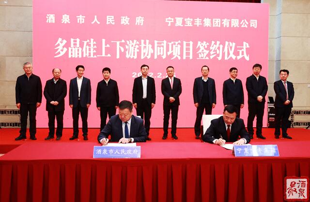 寶豐集團(tuán)擬在寧夏建設(shè)35萬噸工業(yè)硅、30萬噸多晶硅、50GW拉晶切片、30GW電池組件