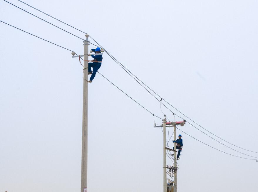 阿拉善供電公司：電網(wǎng)健康“體檢”，從登桿開始
