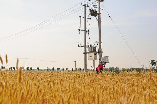 安徽阜陽:“旱了能澆,澇了能排”