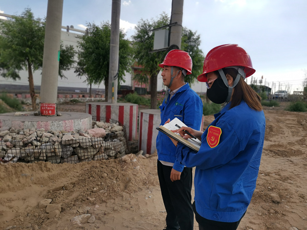 烏海市千里山供電分公司開(kāi)展“擔(dān)使命，展作為，黨員巡線當(dāng)先鋒”主題黨日