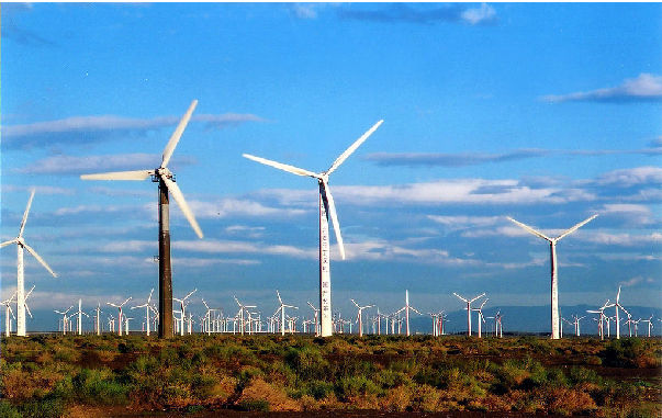 全球風電整機巨頭碳梁專利到期!國內(nèi)碳纖維企業(yè)迎來重磅發(fā)展機遇