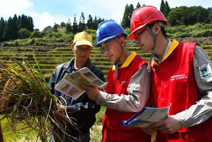 福建福州:金秋好“豐”景 供電服務(wù)優(yōu)