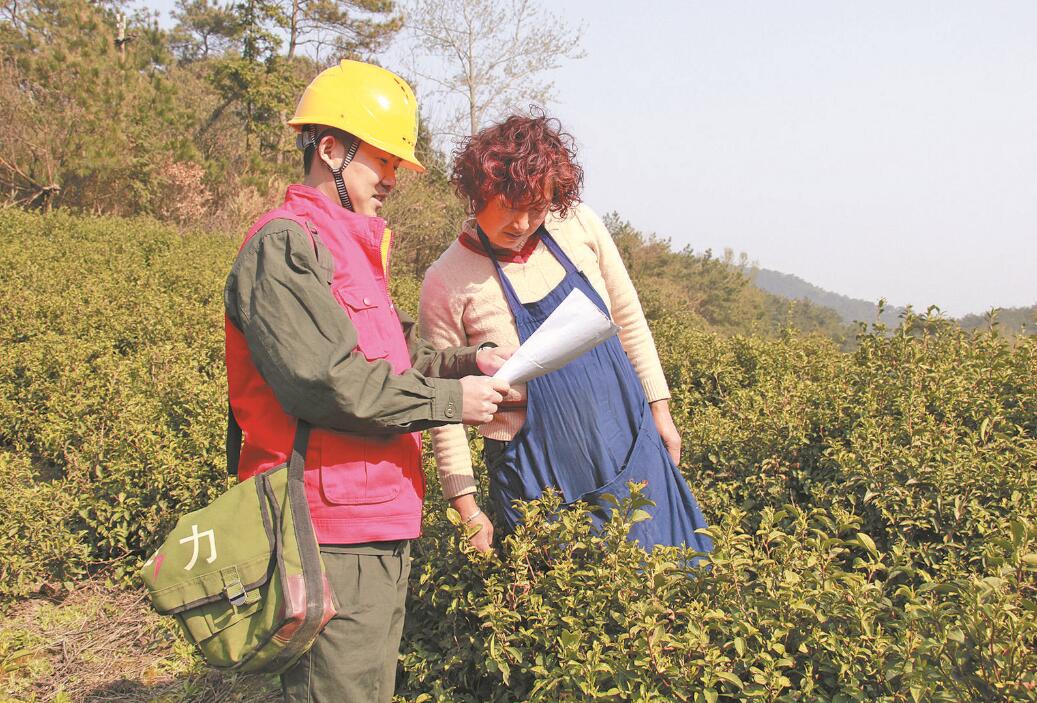 江西省永修縣:供電給力 柑橘飄香