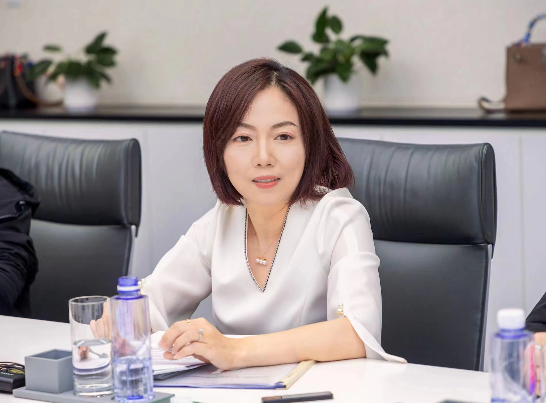 全國(guó)人大代表鐘錚:建議支持新型儲(chǔ)能發(fā)展 完善容量電費(fèi)機(jī)制