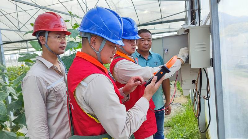 國網(wǎng)漳平市供電公司:“村網(wǎng)共建”聚合力 攜手共促鄉(xiāng)村振興