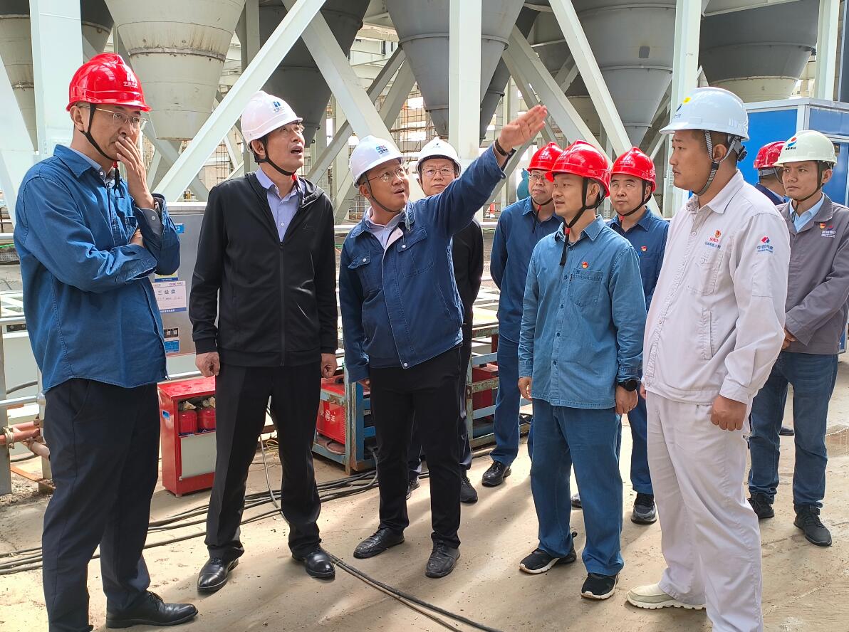華能甘肅公司黨委書記、董事長張東輝到正寧百萬項目檢查指導(dǎo)