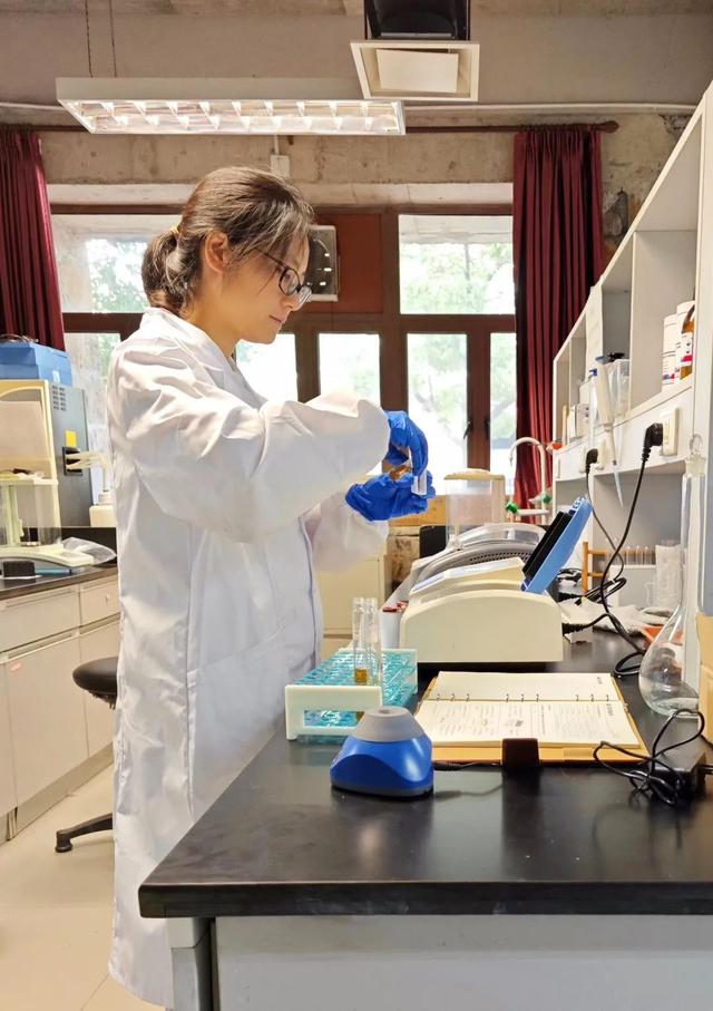 寶山這位博士后探索“氫轉(zhuǎn)甲烷”科創(chuàng)路徑，推動(dòng)清潔能源制氫