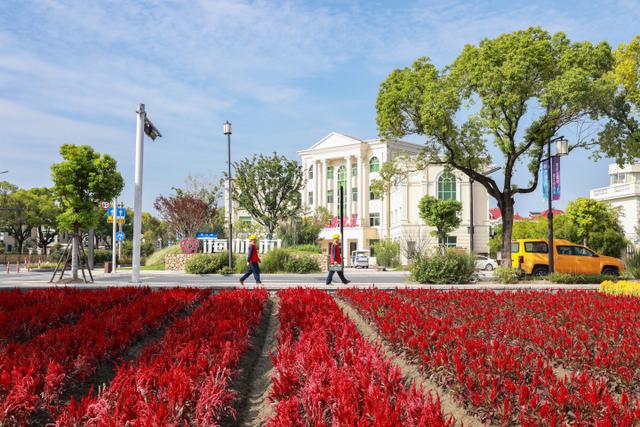 “電靚”和美鄉(xiāng)村，過去20年，杭州電力做了什么