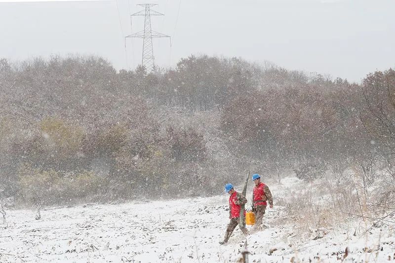 國家電網全力應對寒潮，保障電力可靠供應