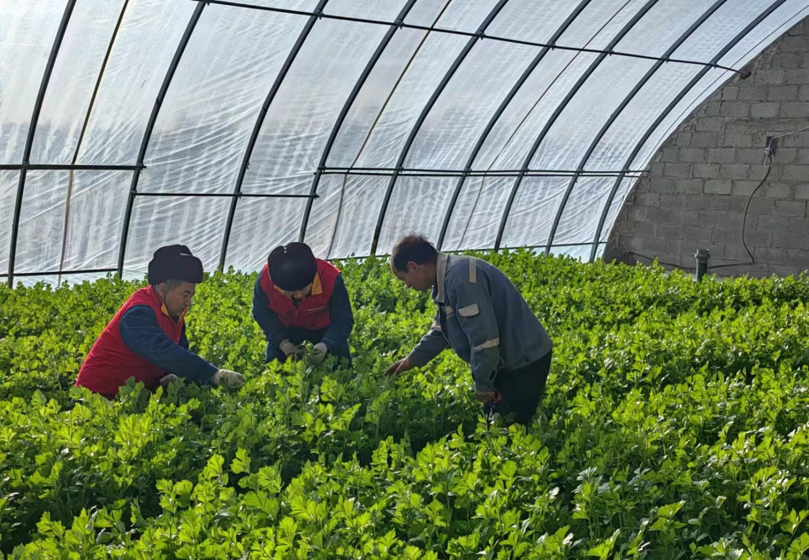 國網(wǎng)西和縣供電公司:聚焦機井電力設(shè)施排查 筑牢農(nóng)業(yè)安全生產(chǎn)防線