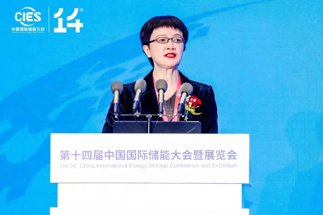 國(guó)家能源局科技司原副司長(zhǎng)劉亞芳:大量已建成新型儲(chǔ)能項(xiàng)目調(diào)用率有待提升