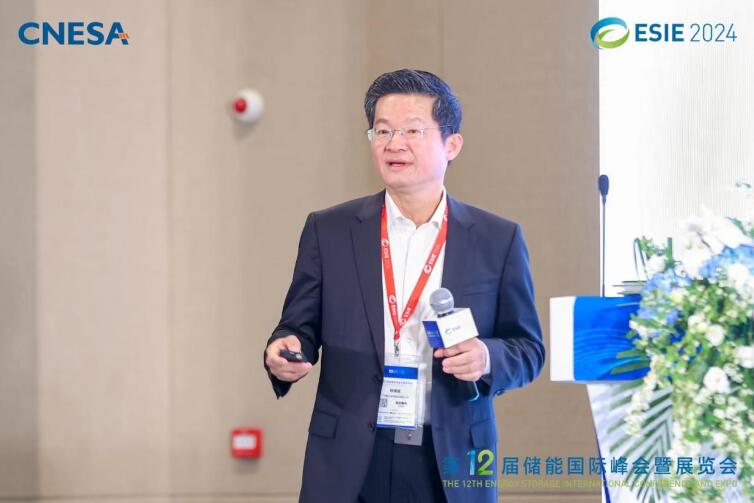 林澤波：儲(chǔ)能企業(yè)出海不是價(jià)格競爭，而是以定制優(yōu)質(zhì)產(chǎn)品和服務(wù)實(shí)現(xiàn)可持續(xù)發(fā)展