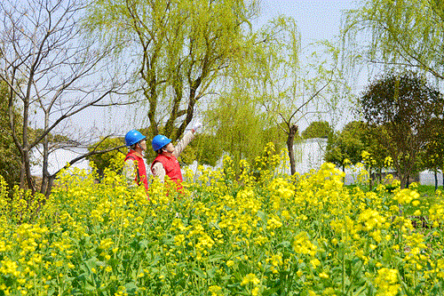 國網(wǎng)太倉市供電公司：電力賦能農(nóng)文旅，五一出游“零碳”行