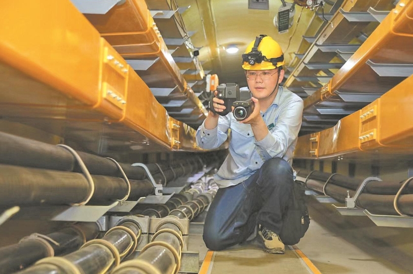 董力文：向下扎根，向上生長