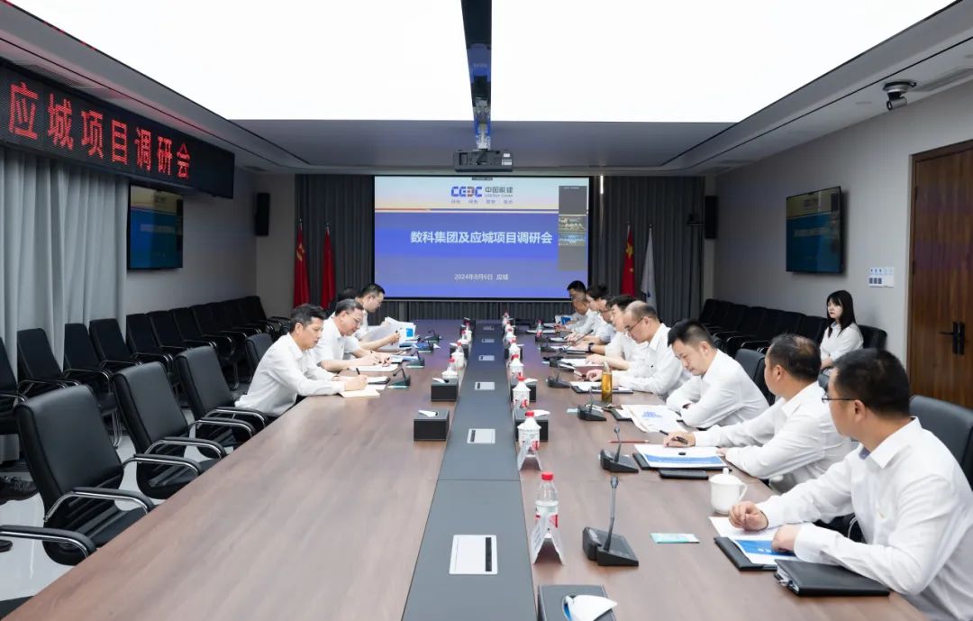 中國能建黨委副書記、總經(jīng)理倪真調(diào)研湖北應(yīng)城300兆瓦壓氣儲能項目