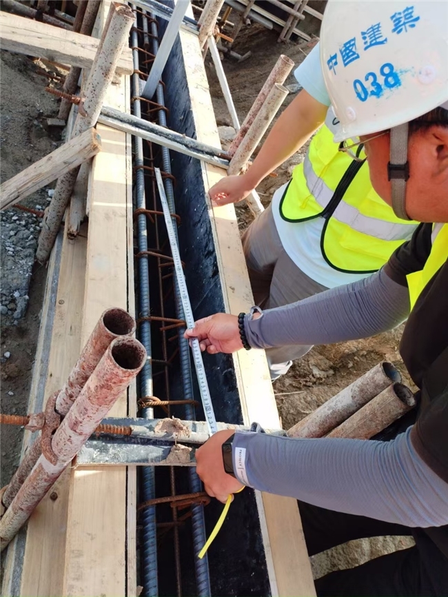 黨員先鋒展風采，鑄就工程新樣板