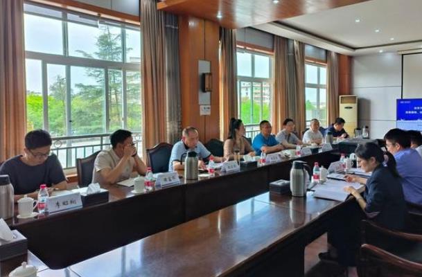 “氫”裝上陣，自貢市加快推動(dòng)氫能全產(chǎn)業(yè)鏈發(fā)展