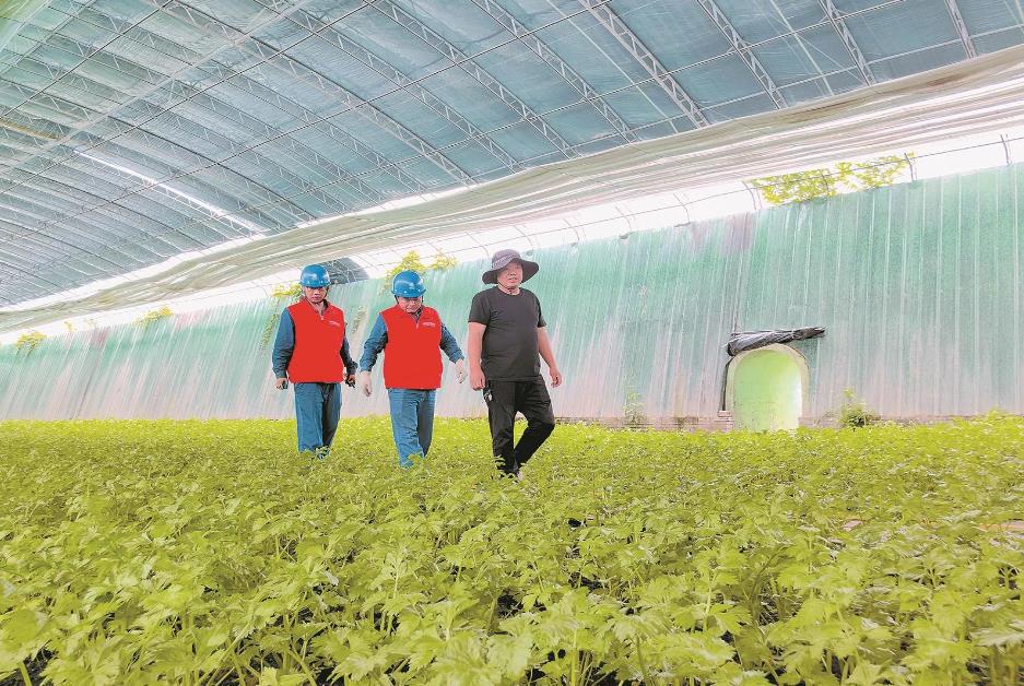 寧夏賀蘭縣：賀蘭山下，稻香魚肥