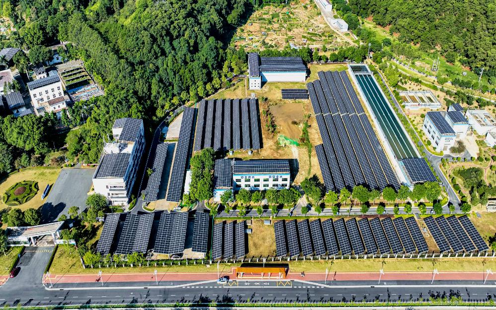 追“新”逐“綠” 粵?？毓杉瘓F(tuán)走實(shí)走好綠色低碳轉(zhuǎn)型高質(zhì)量發(fā)展道路