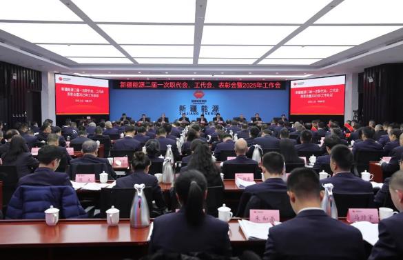 國能新疆能源召開二屆一次職代會、工代會、表彰會暨2025年工作會