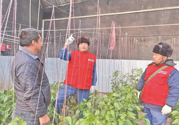 青海循化撒拉族自治縣大棚變智能，果蔬產(chǎn)量增