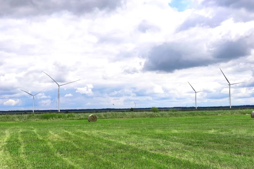 全球最大綠色氫氨醇一體化項目風(fēng)機吊裝完成